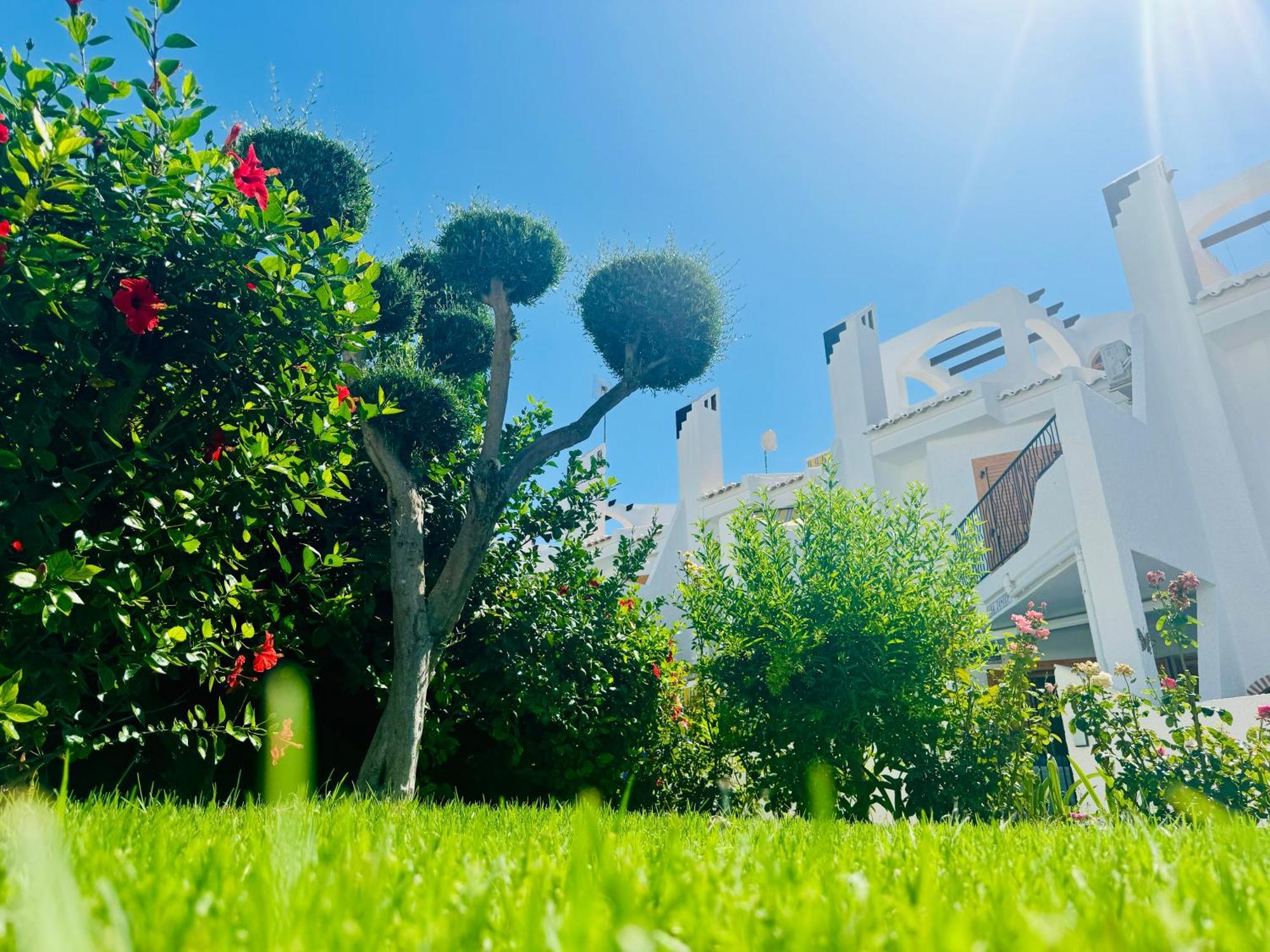 הוילה אוריהואלה Contemporary House In Cabo Roig מראה חיצוני תמונה